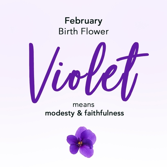 NEW! FEBRUARY - Birthstone Necklace & Earring Set - February purple - Picture 6 of 13